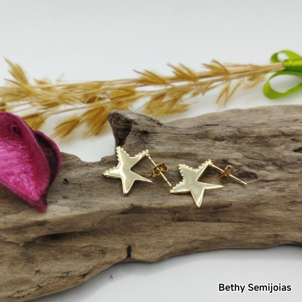 Brinco estrela cravejado na frente - #4