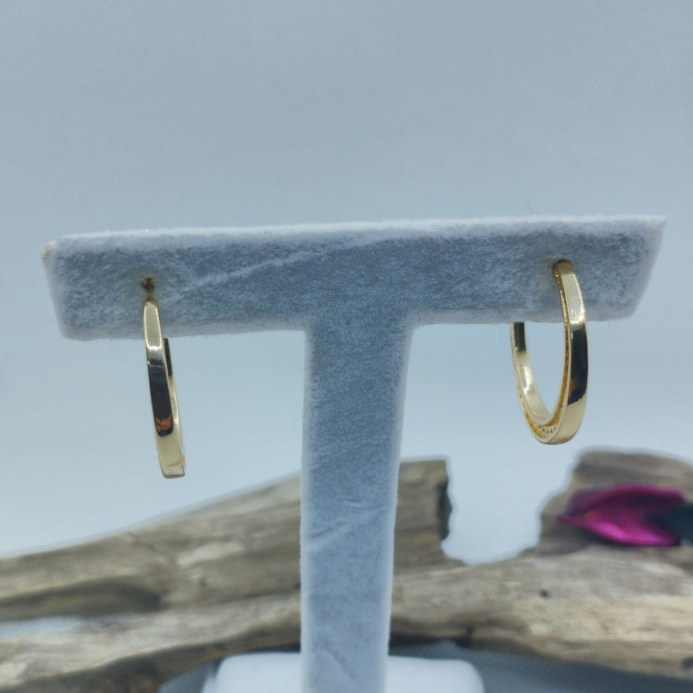 Argola Cravejada lateral - #3