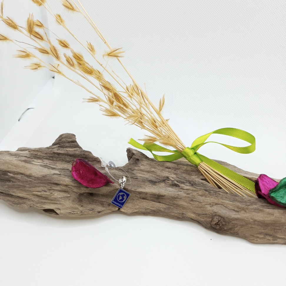 Berloque passaporte globo - #2