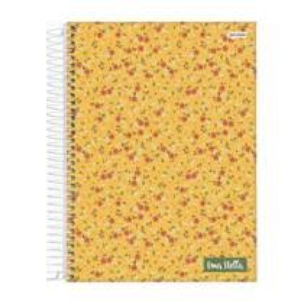 Caderno Universitário Capa Dura 01 Matéria 80 Folhas - #1