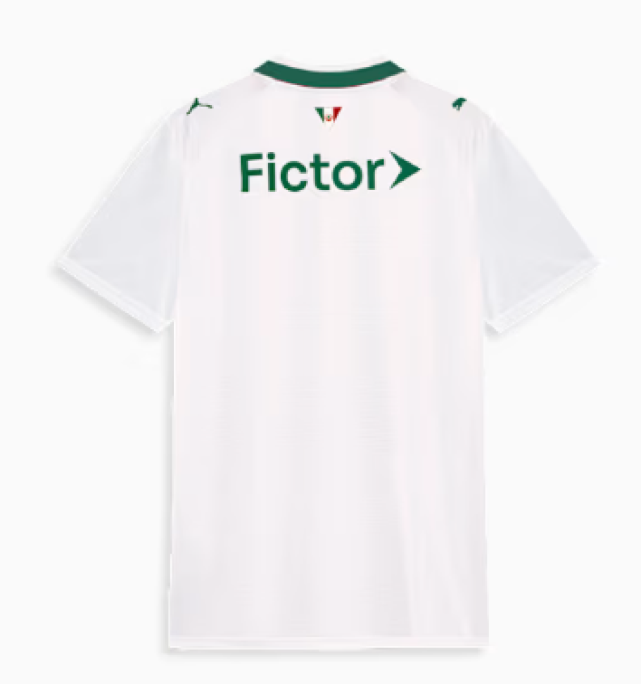 Camisa Palmeiras AWAY 2026 Torcedor Masculina - #6