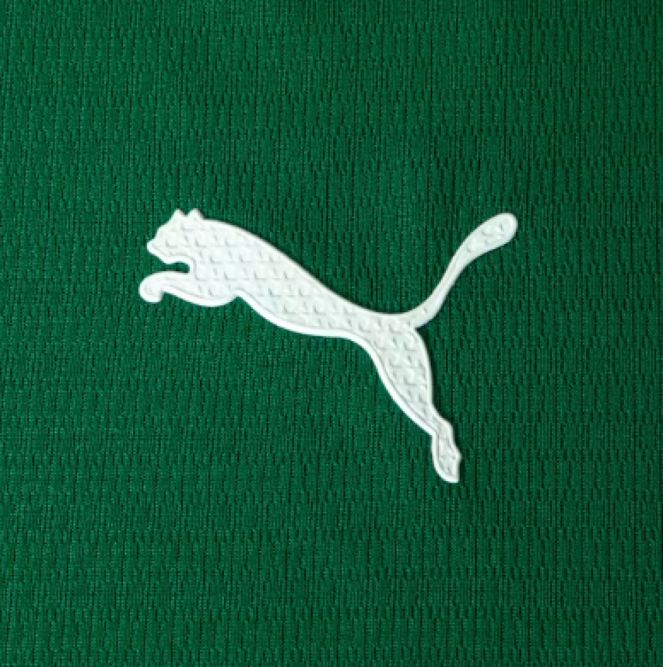 Camisa Palmeiras HOME 2026 Jogador Masculina