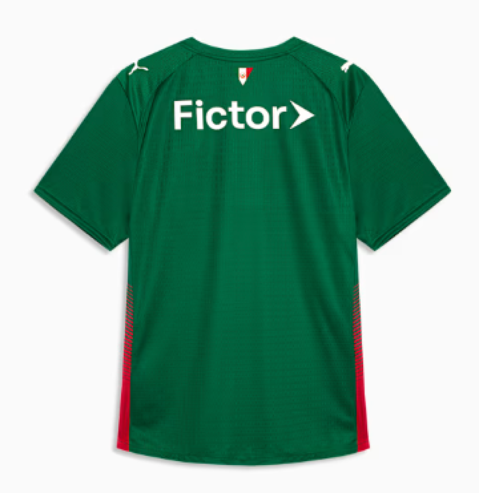 Camisa Palmeiras HOME 2026 Jogador Masculina - #6