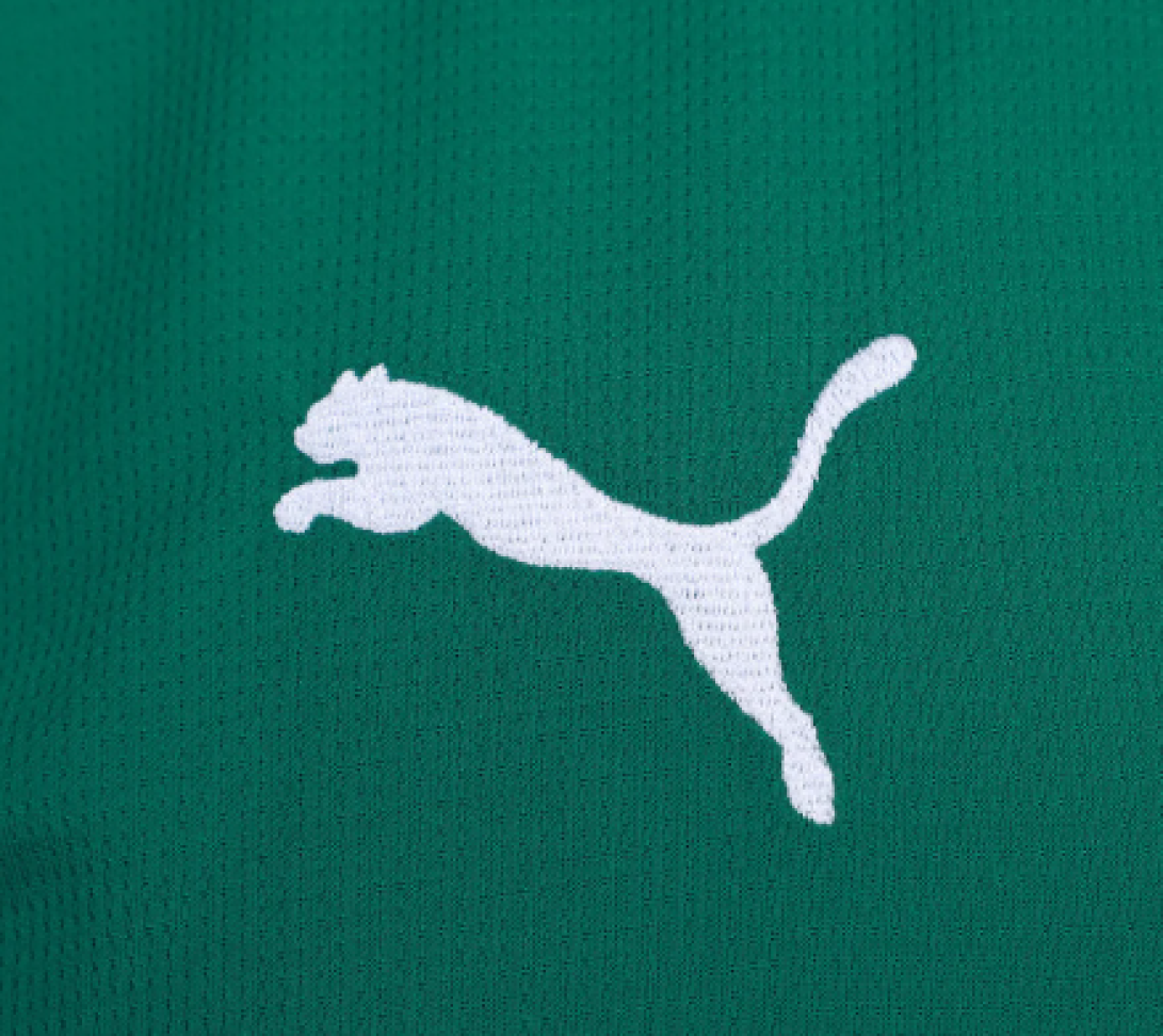 Camisa Palmeiras I 26/27 s/n Torcedor Puma Masculina - Verde - #4