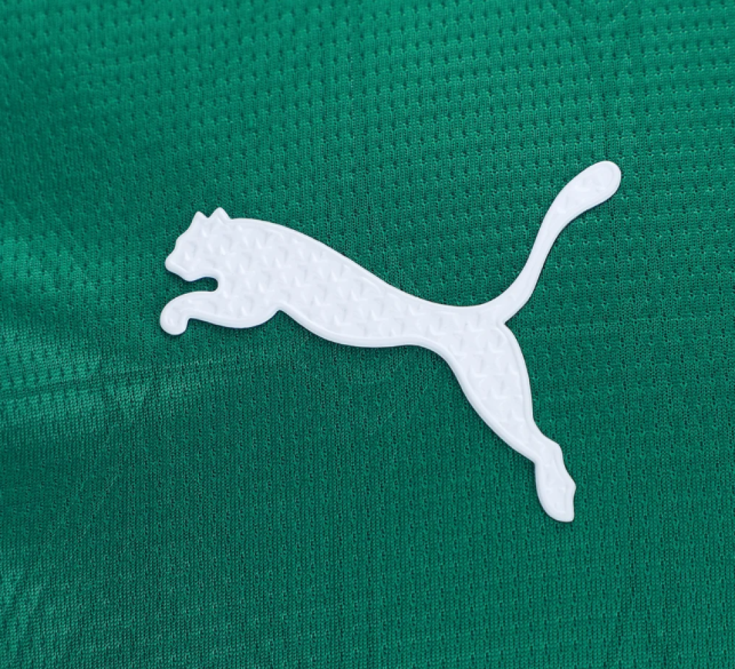 Camisa Palmeiras I 25/26 Jogador - Verde - #3