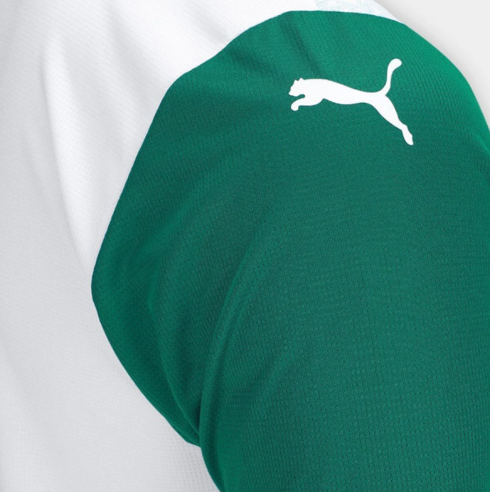 Camisa Palmeiras II 25/26 s/n Torcedor Puma Masculina - Branco - #4
