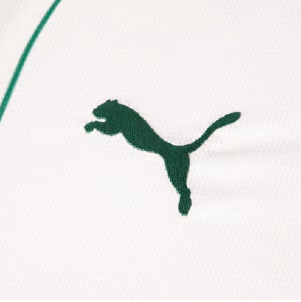 Camisa Palmeiras AWAY 2026 Torcedor Masculina