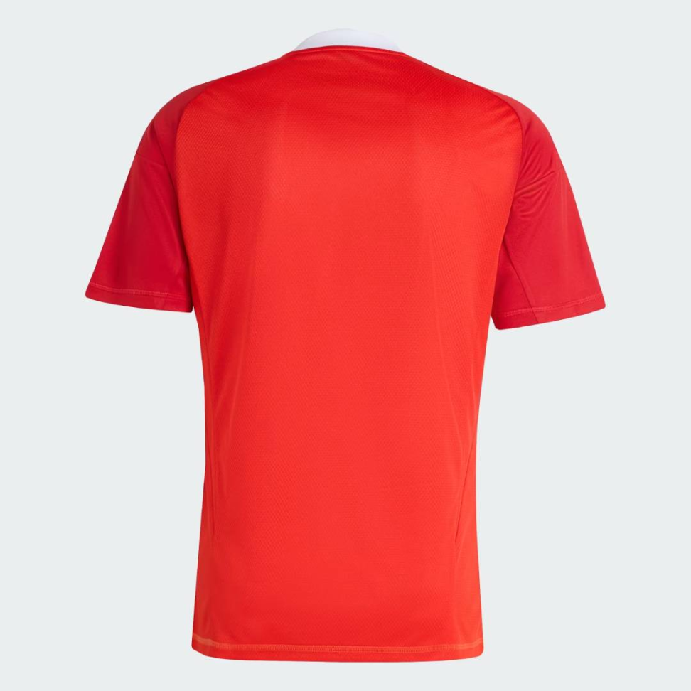 Camisa Flamengo Goleiro III 2025 Torcedor - Vermelho