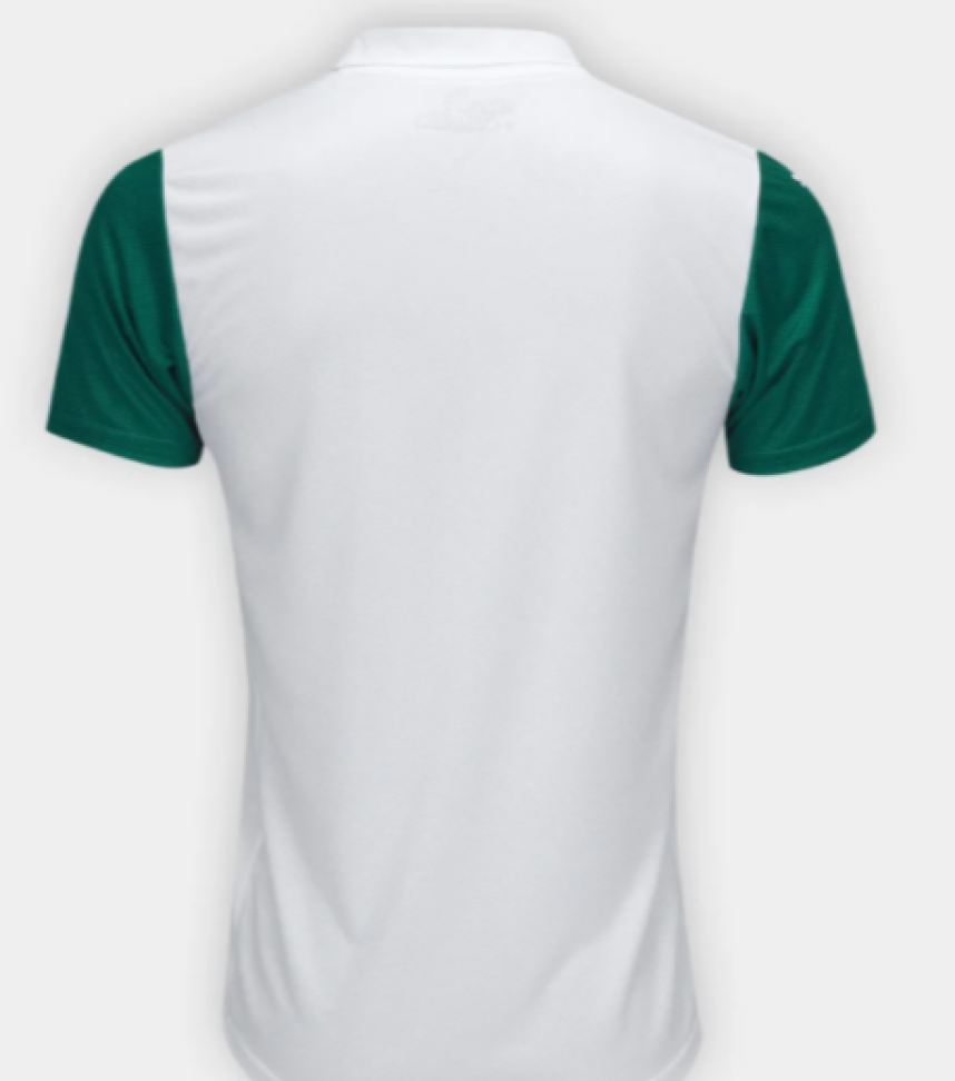 Camisa Palmeiras II 25/26 s/n Jogador Puma Masculina - Branco - #2