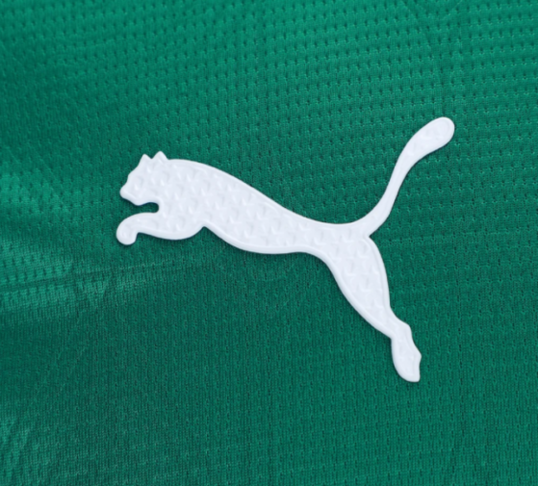 Camisa Palmeiras I 25/26 s/n Jogador Puma Masculina - Verde - #3