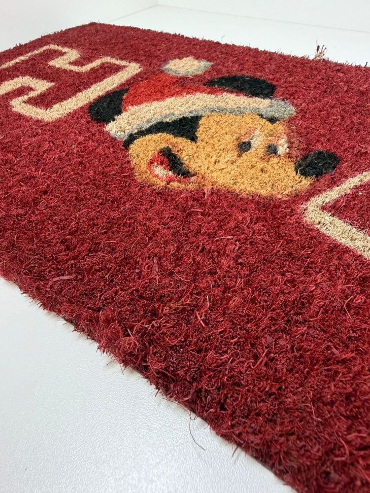 Capacho para porta Disney (25x55cm) - #3