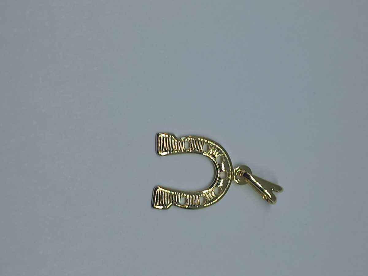 Corrente com pingente ferradura - #4