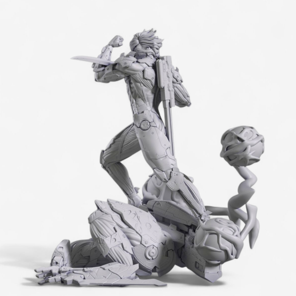 Raiden / Metal Gear Rising - #3