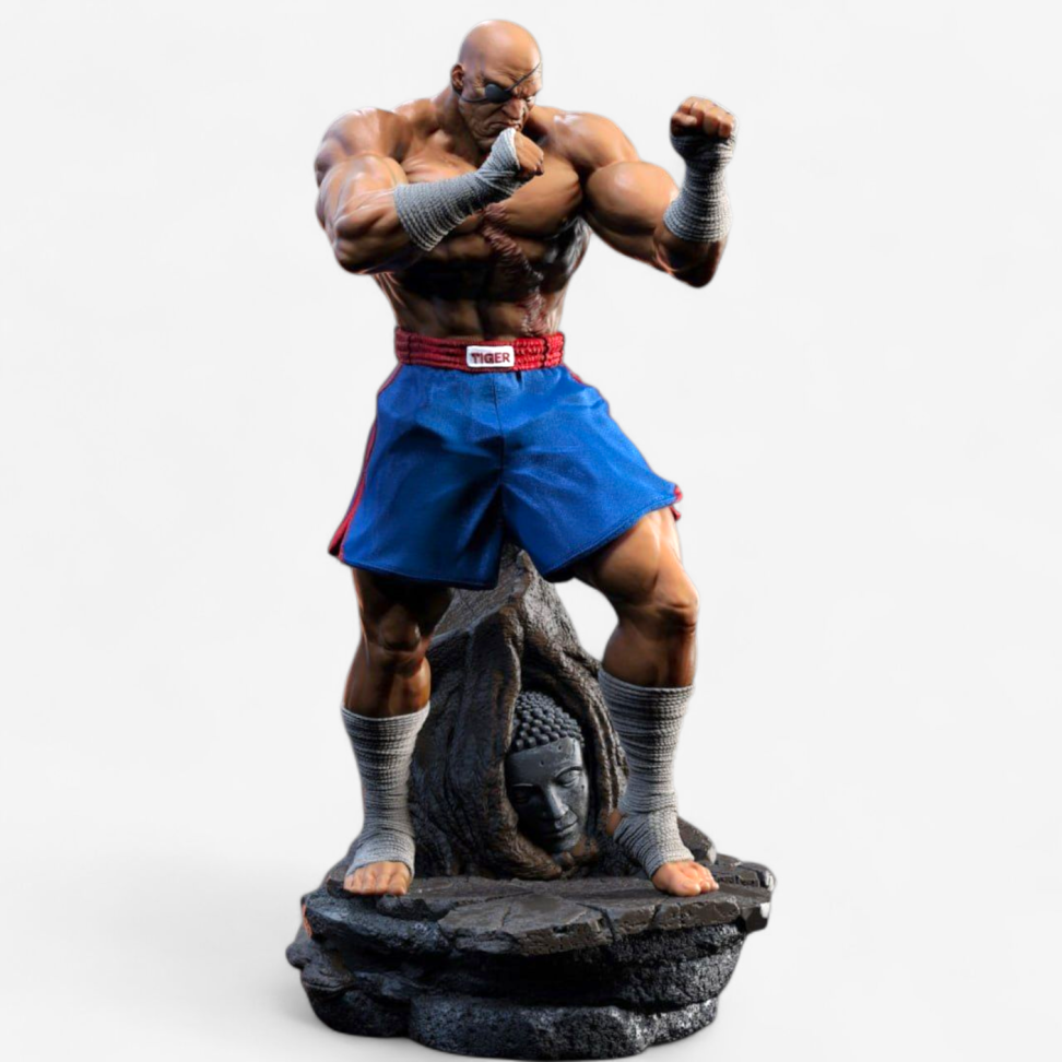 Sagat / Street Fighter