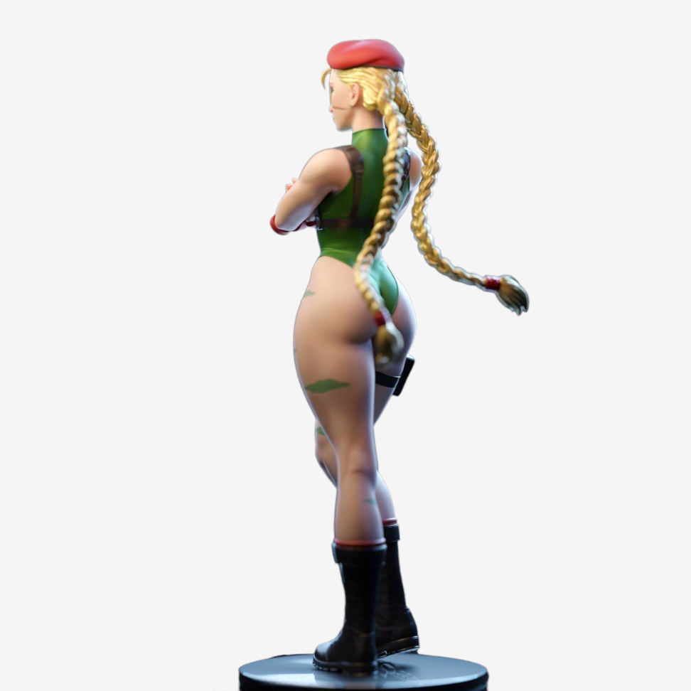 Cammy / Street Fighter - #3