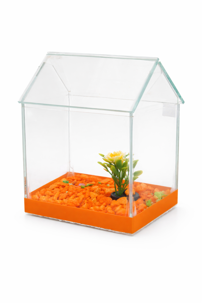 Aquário beteira casinha - pequeno - #1