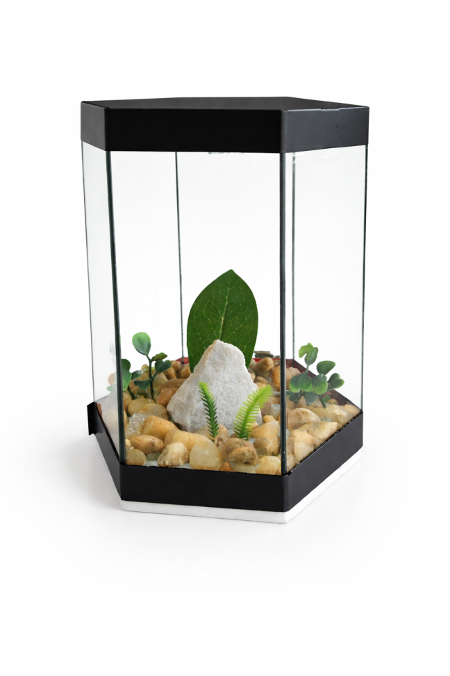 Aquário beteira sextavado - Pequeno - #1