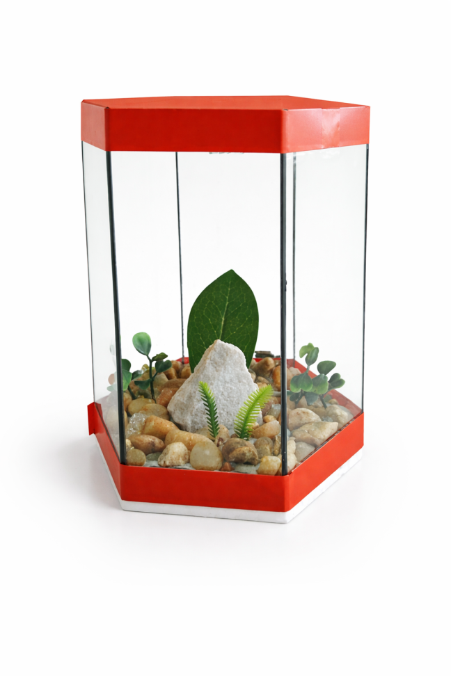 Aquário beteira sextavado - Pequeno - #1