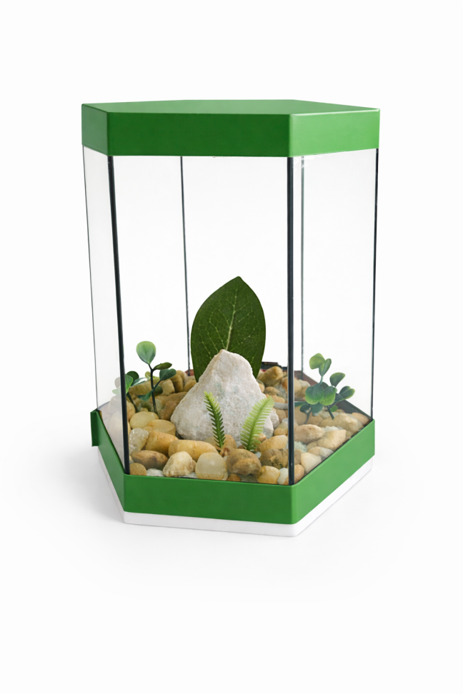 Aquário beteira sextavado - Pequeno - #1