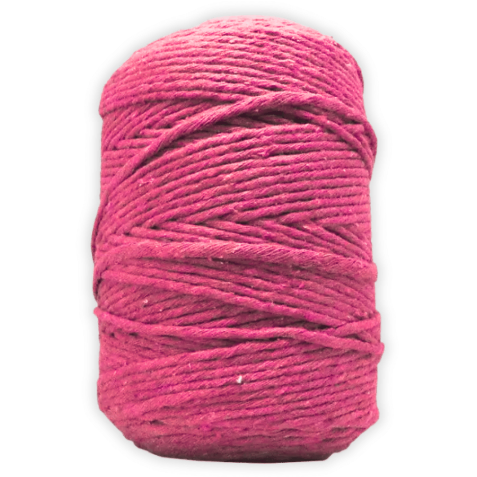Barbante Cru Colorido N.6 101m Têxtil Piratininga - #5