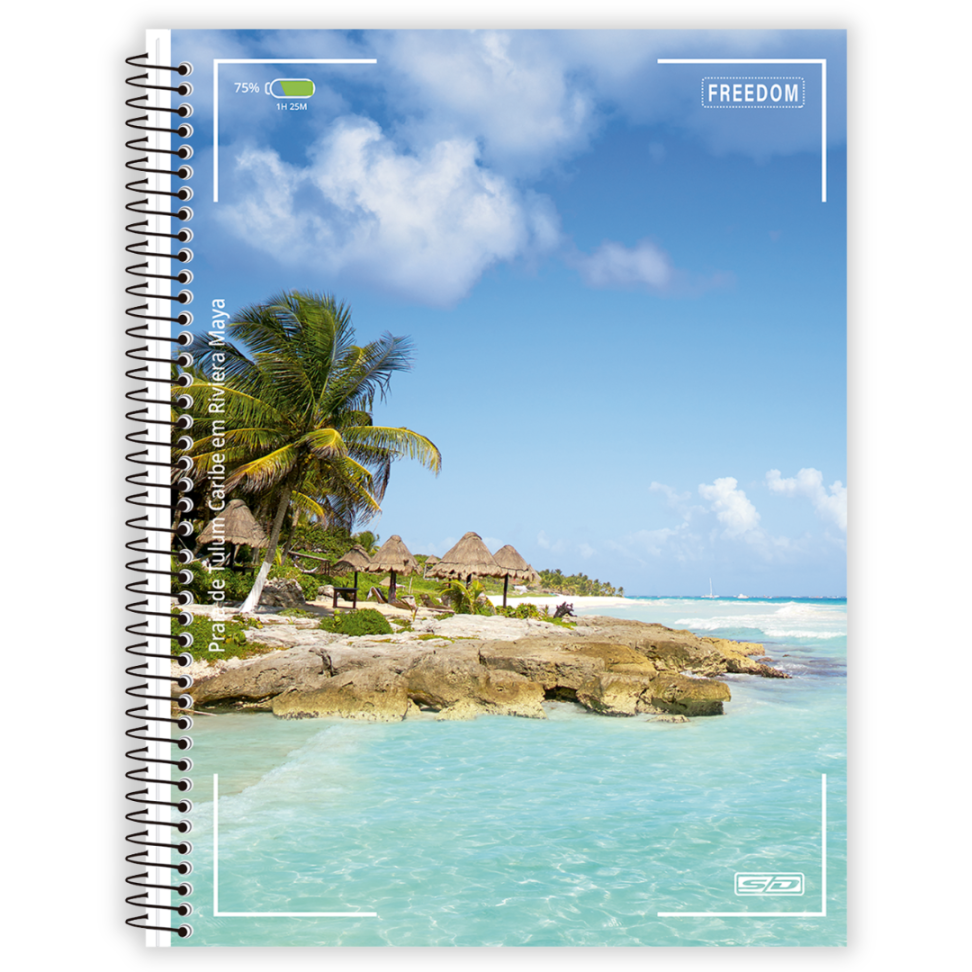 Caderno com Espiral Universitário Freedom 12 Matérias Animativa - #1