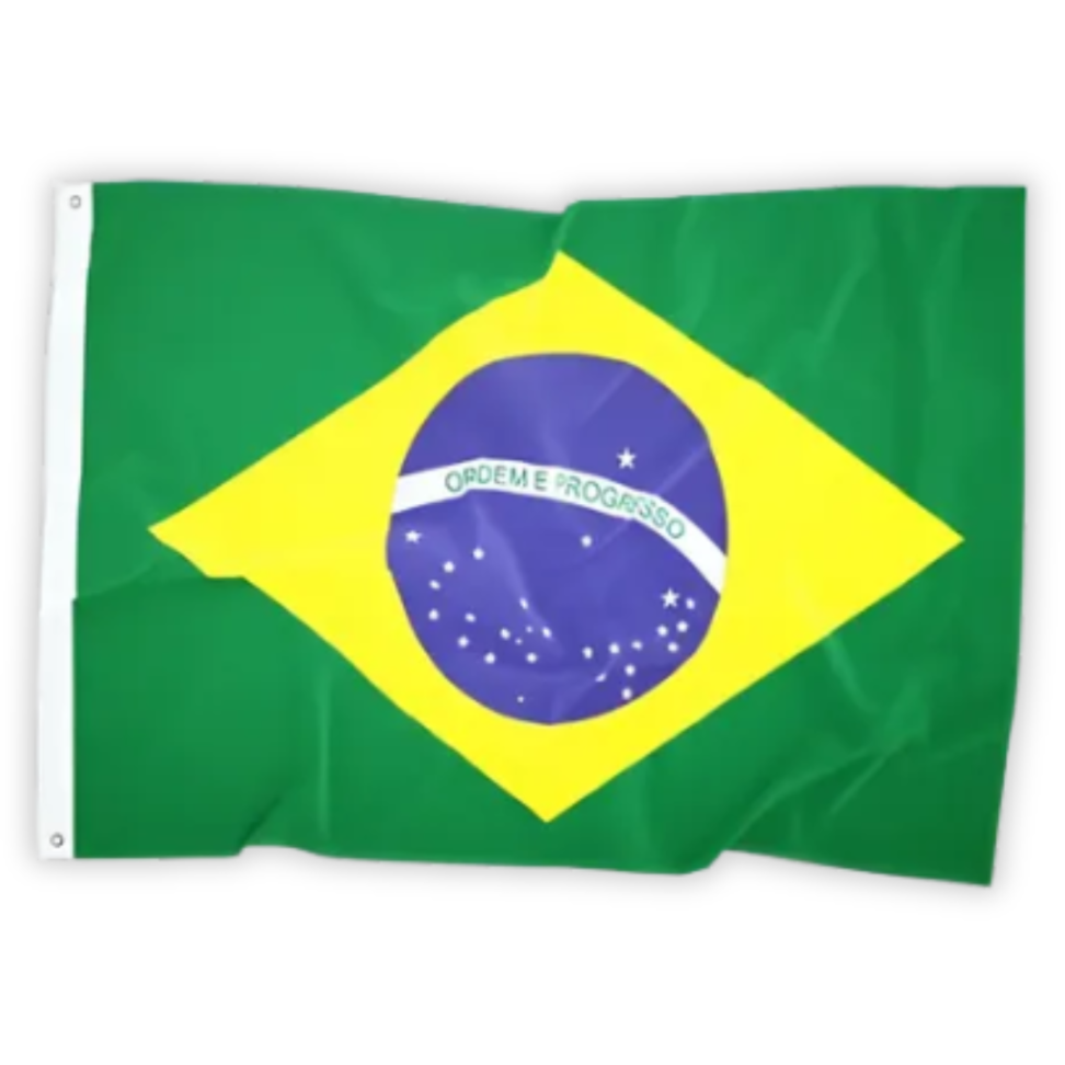 Bandeira do Brasil sem Haste 90cm x 130cm Nyr Festas