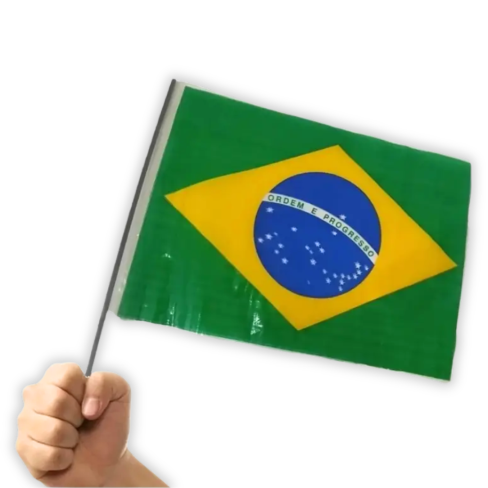Bandeira do Brasil com Haste 30cm x 47cm Seda Real