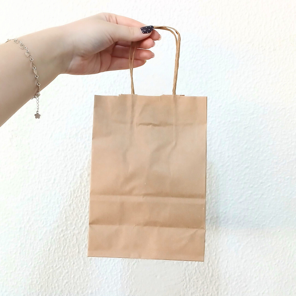 Sacola Kraft para Presente 21,5cm x 15cm x 8cm Cromus - #2