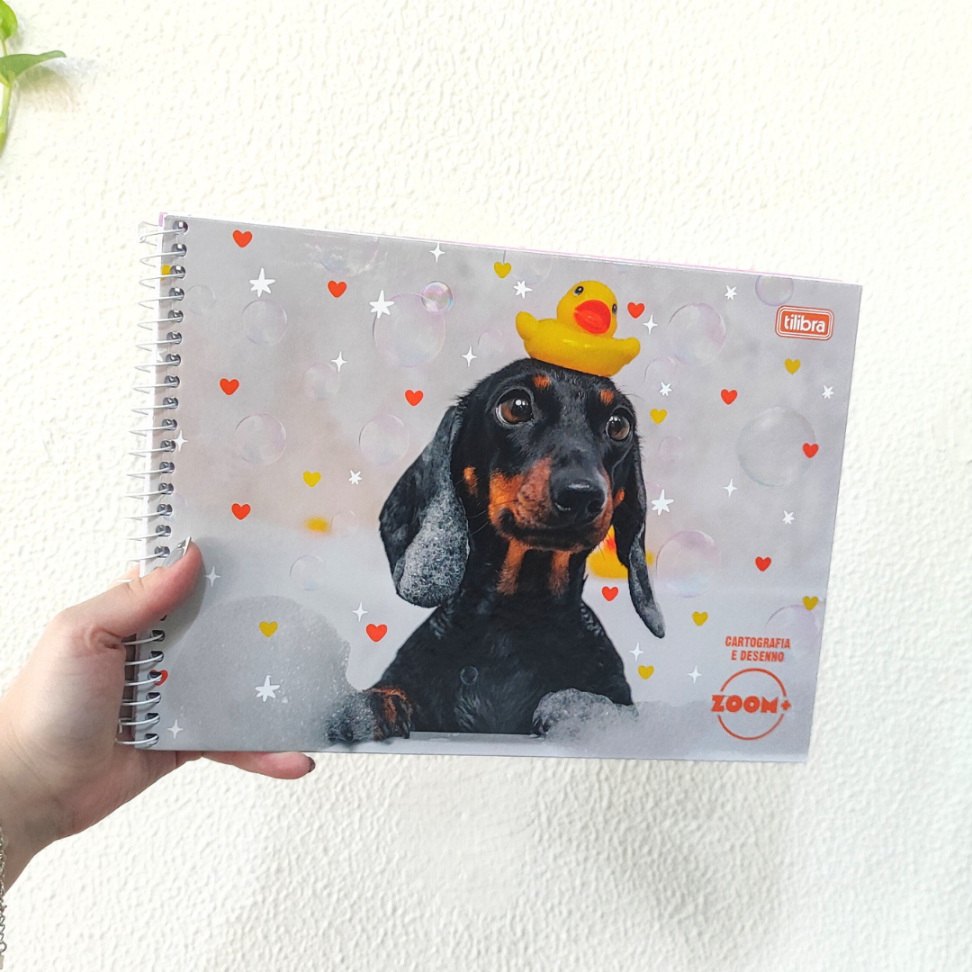 Caderno de Cartografia e Desenho Zoom+ Feminino Tilibra - #1