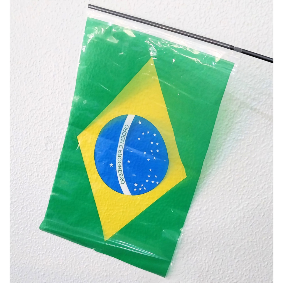 Bandeira do Brasil com Haste 30cm x 47cm Seda Real - #3
