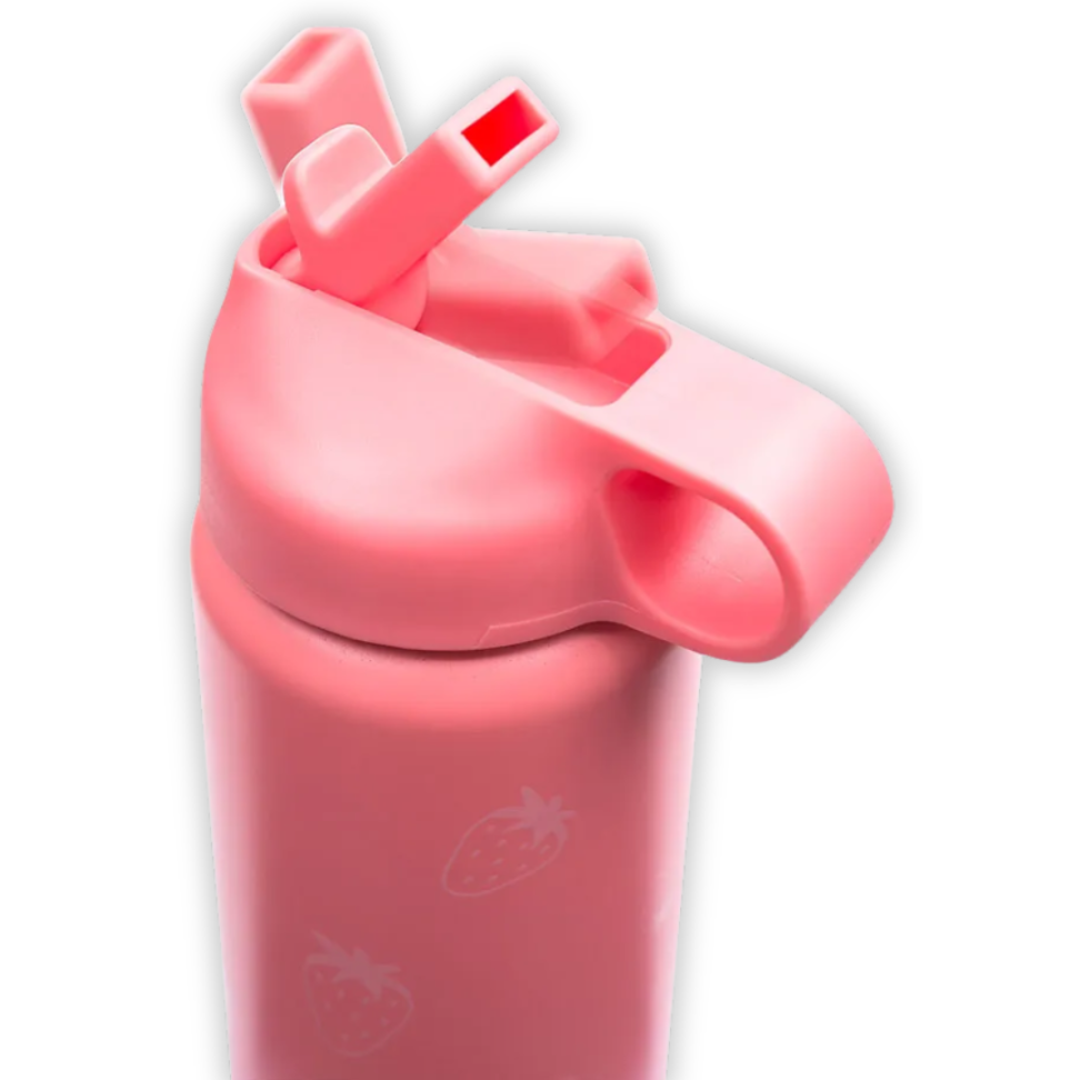 Garrafa Térmica Inox Picnic 500ml LeoArte - #3