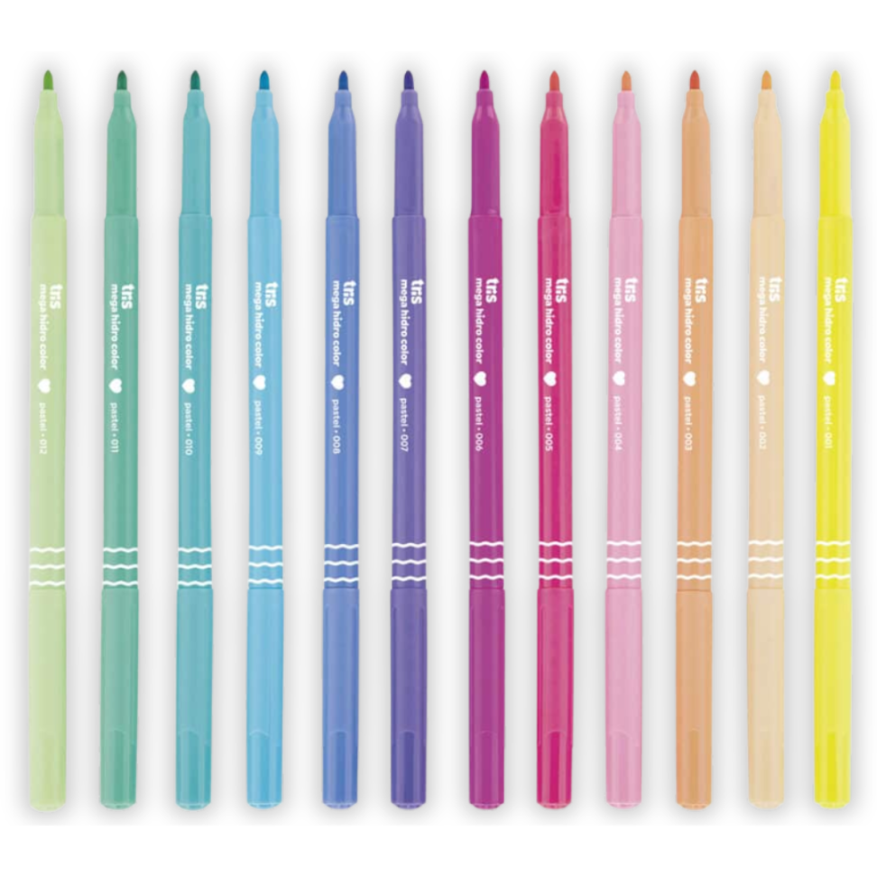 Canetinha Hidrocor 12 Cores Tons Pastel Mega Tris - #1