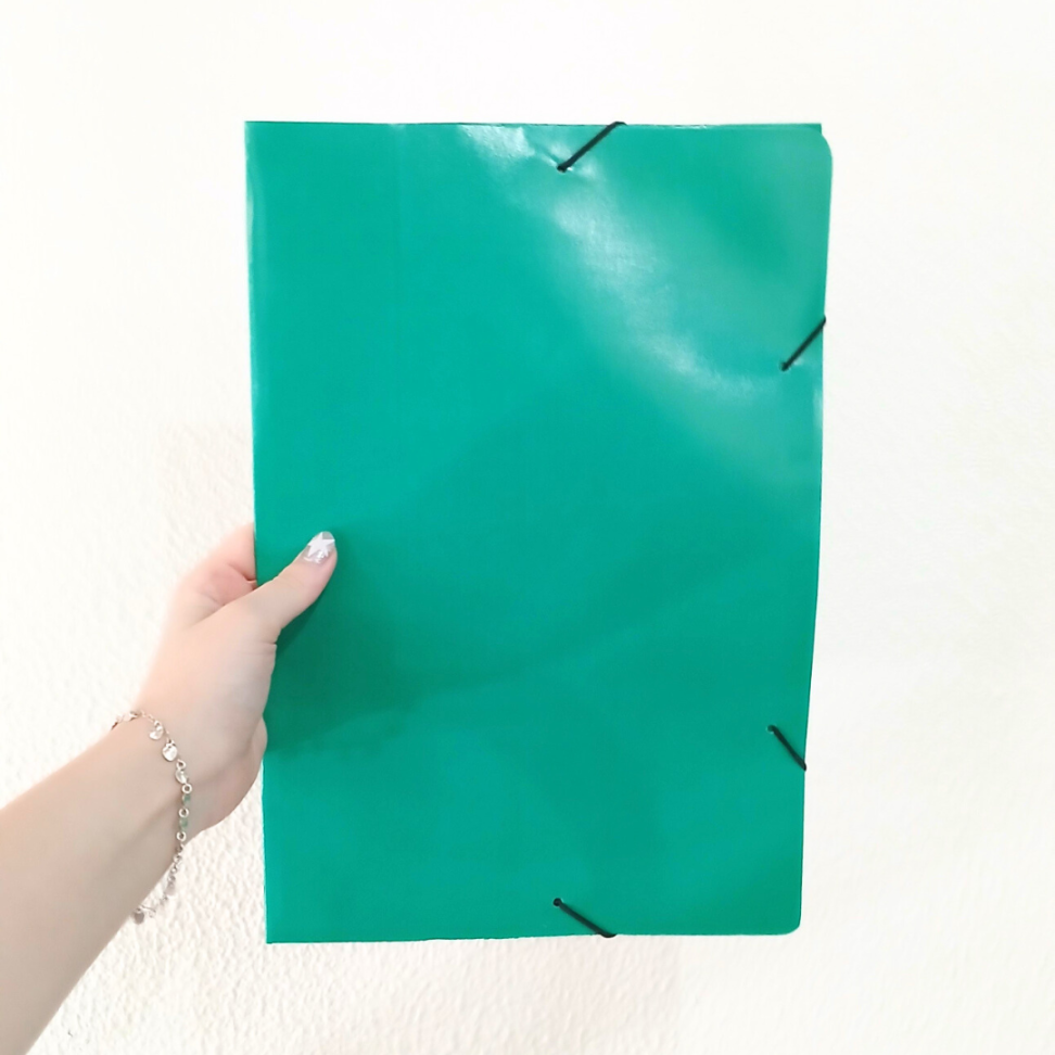 Pasta Aba-Elástico A4 Papelão Frama - #10