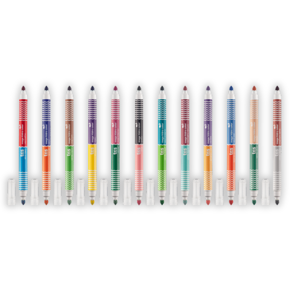 Canetinha Hidrocor Bicolor 24 Cores Mega Color ADD Tris - #3