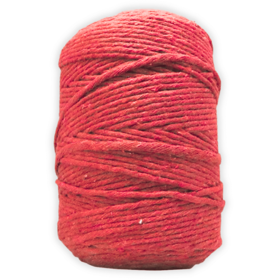 Barbante Cru Colorido N.6 101m Têxtil Piratininga - #6