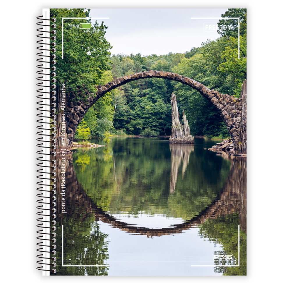 Caderno com Espiral Universitário Freedom 12 Matérias Animativa - #1