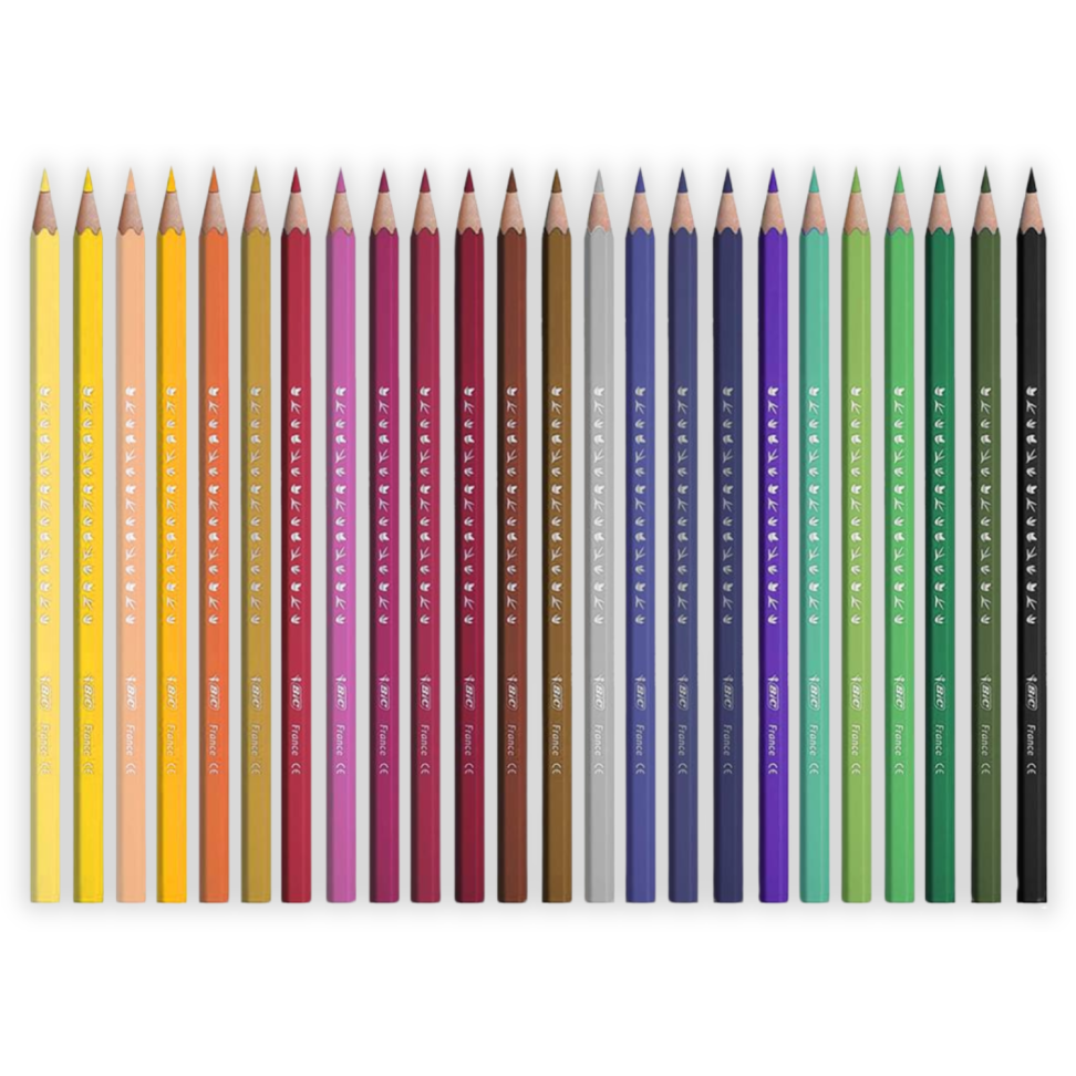 Lápis de Cor 24 Cores Evolution Bic