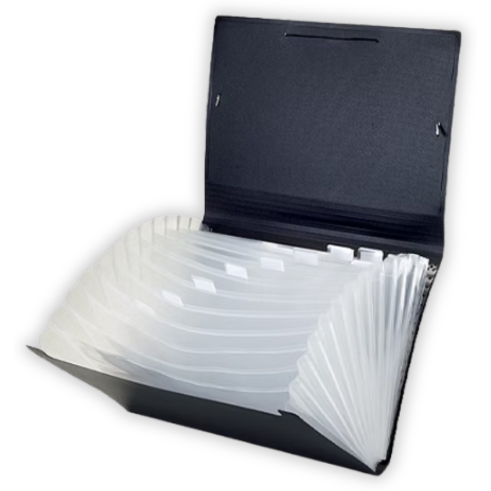 Pasta Sanfonada com 12 Divisórias Black 4027 ACP - #2