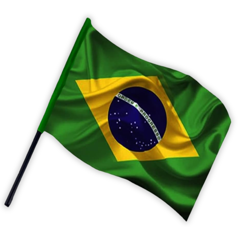 Bandeira do Brasil com Haste 30cm x 47cm Seda Real