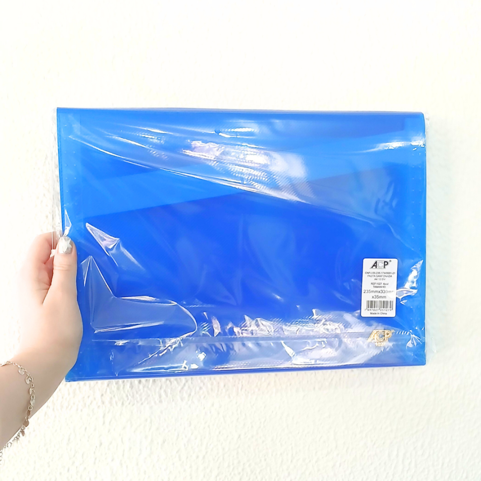 Pasta Sanfonada com 12 Divisórias 1027 ACP - #7