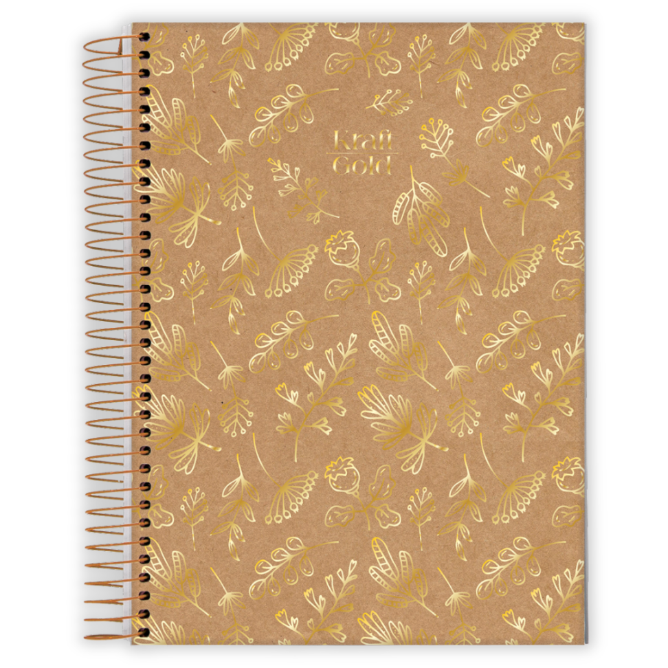 Caderno com Espiral Colegial Kraft Gold 1 Matéria Jandaia - #1