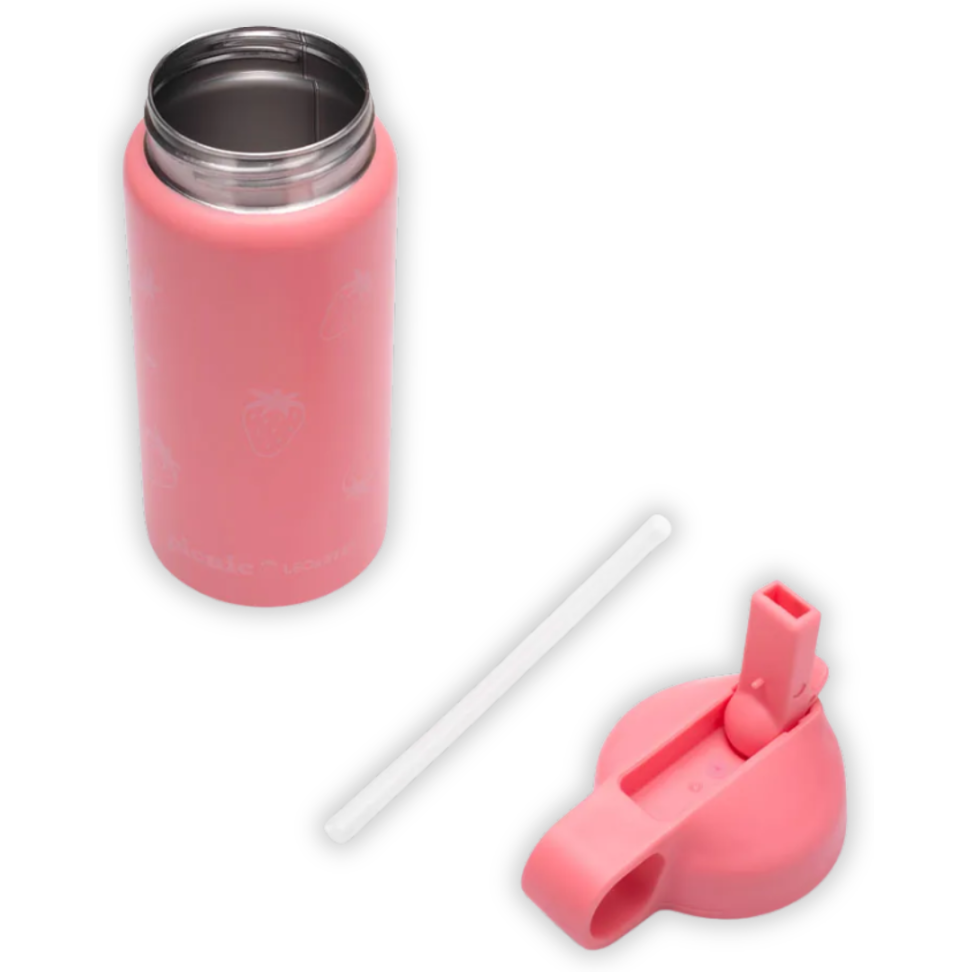 Garrafa Térmica Inox Picnic 500ml LeoArte - #4