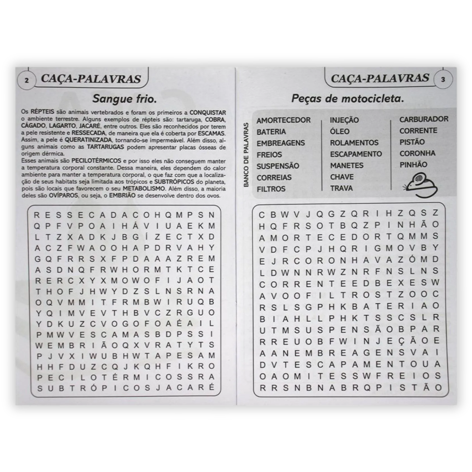 Livro Caça-Palavras Fácil 2000 Scottini Todolivro - #1