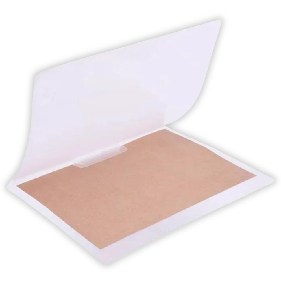 Pasta Rotoclip A4 Cristal ACP - #3