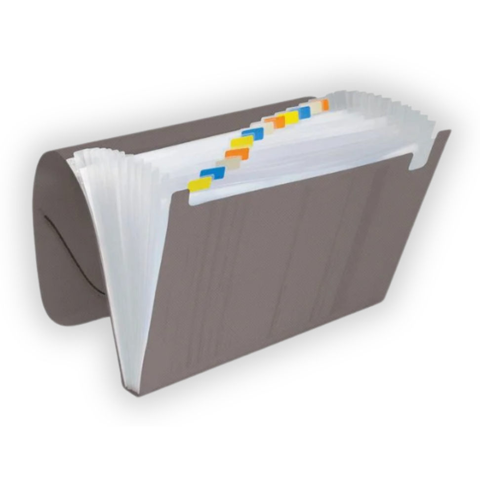 Pasta Sanfonada com 12 Divisórias 1027 ACP - #5