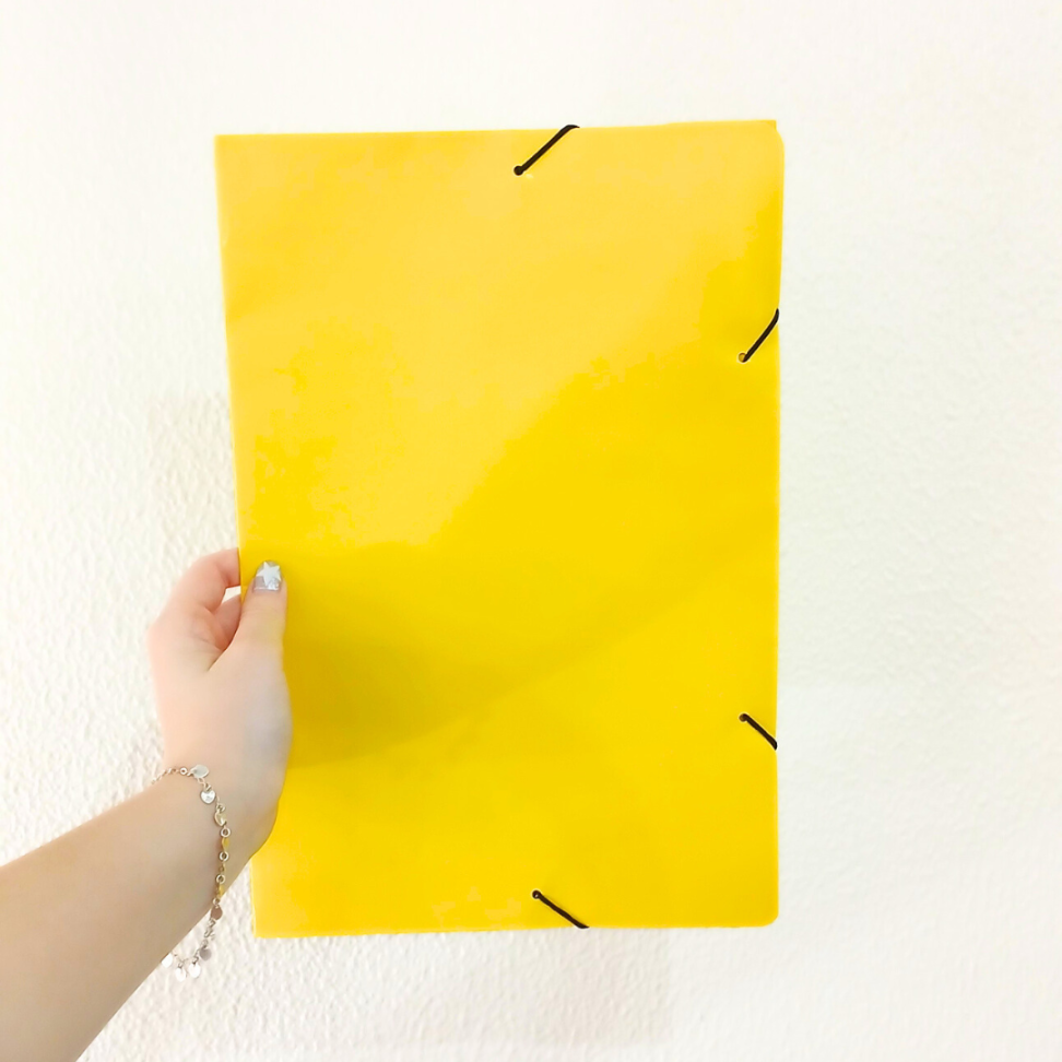 Pasta Aba-Elástico A4 Papelão Frama - #13