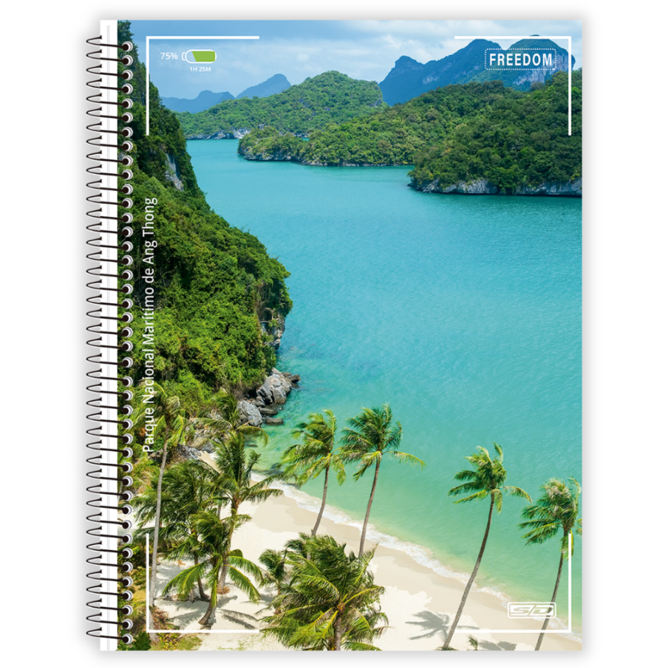 Caderno com Espiral Universitário Freedom 12 Matérias Animativa - #1