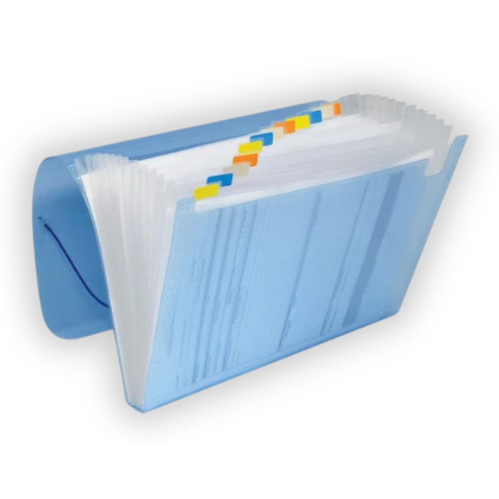 Pasta Sanfonada com 12 Divisórias 1027 ACP - #3