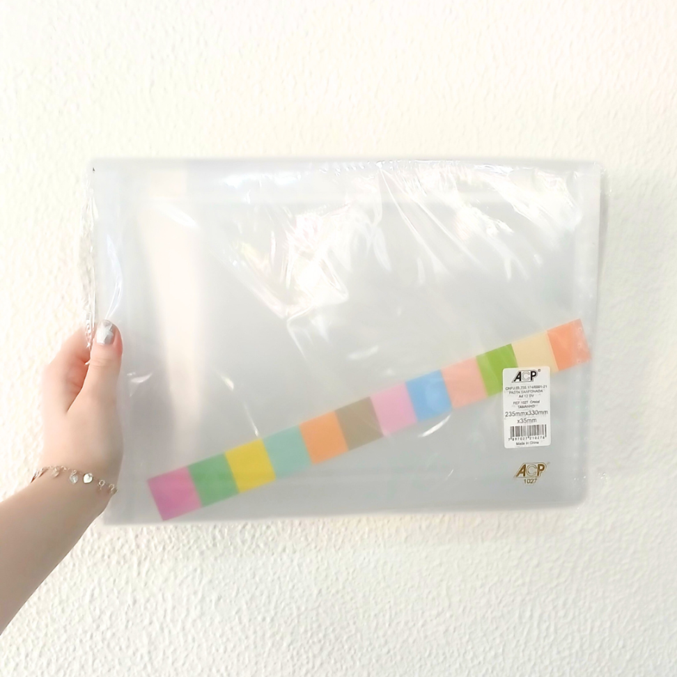 Pasta Sanfonada com 12 Divisórias 1027 ACP - #6