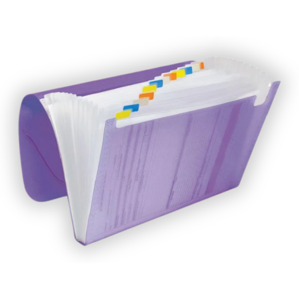 Pasta Sanfonada com 12 Divisórias 1027 ACP - #4